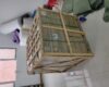 图片_20240724151346